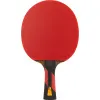 Ракетка для н/т DOUBLE FISH 7A+C, для професс.,ITTF Appr.,накл.2,1мм,+ 2 мяча V40+мм ITTF Appr за 3&nbsp;559.80 ₽ купить в Санкт-Петербурге