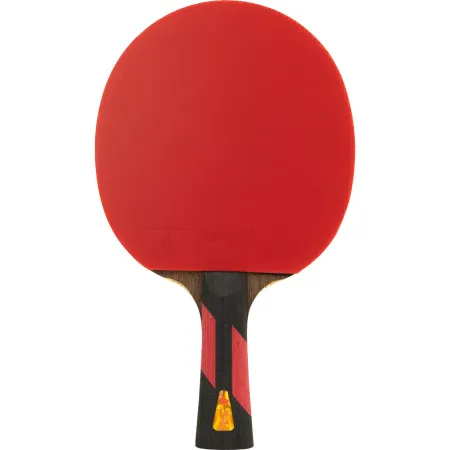 Ракетка для н/т DOUBLE FISH 7A+C, для професс.,ITTF Appr.,накл.2,1мм,+ 2 мяча V40+мм ITTF Appr за 3&nbsp;559.80 ₽ купить в Санкт-Петербурге