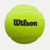 Мяч для падела Wilson Premier Padel, WR8908401001, уп.3 шт, FIP Approved, войлок, нат.резина,желтый за 1&nbsp;198.50 ₽ купить в Санкт-Петербурге