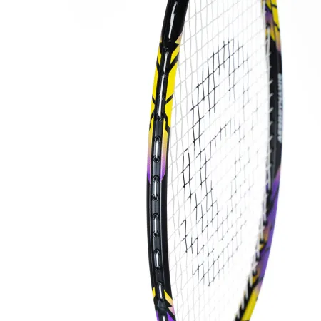 Ракетка бадм. TORRES Carbon PRO6, BD20521,для продв., стерж/обод из карбона,со струнами, фиол за 4&nbsp;477.80 ₽ купить в Санкт-Петербурге
