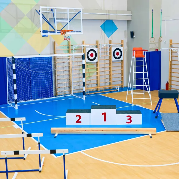 Щит для метания навесной на шведскую стенку (фанера) 700х700 ZAVODSPORTA за 8&nbsp;960 ₽ в Санкт-Петербурге