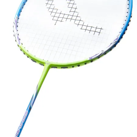 Ракетка для бадм. DOUBLE FISH JINQUE QT-1601, для продвинутых,карбон со струнами,литая,голубой за 3&nbsp;015.80 ₽ купить в Санкт-Петербурге