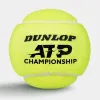 Мяч теннисный Dunlop ATP Championship 4B, 601627, уп.4ш, одобр. ITF, нат.резина,фетр. за 1&nbsp;242.70 ₽ купить в Санкт-Петербурге