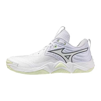 Волейбольные Кроссовки MIZUNO Wave Momentum ELITE(W), V1GC2512-85