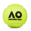 Мяч теннисный Dunlop Australian Open, 601601, уп..3 шт, одобр.ITF,фетр,нат.резина, желтый за 1&nbsp;171.30 ₽ купить в Санкт-Петербурге