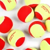 Мяч теннисный детский NS Red, 5021009, уп.12 шт, резина, шерть, нейлон, желто-красный за 2&nbsp;941 ₽ купить в Санкт-Петербурге