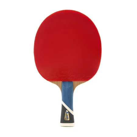 Ракетка для н/т DOUBLE FISH 5A+C, для продвин, ITTF Appr, накл. 2,1 мм, конич. ручка+ 2 мяча V40+мм за 2&nbsp;779.50 ₽ купить в Санкт-Петербурге