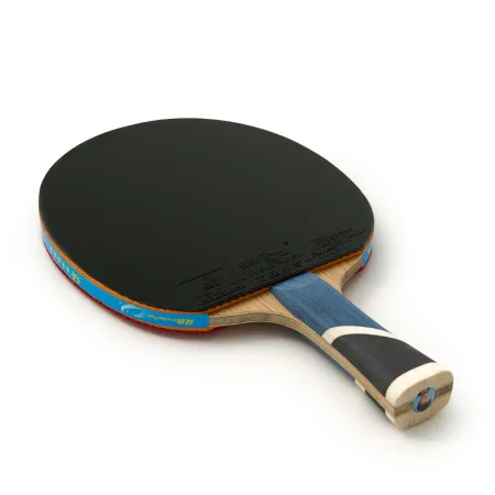 Ракетка для н/т DOUBLE FISH 5A+C, для продвин, ITTF Appr, накл. 2,1 мм, конич. ручка+ 2 мяча V40+мм за 2&nbsp;779.50 ₽ купить в Санкт-Петербурге