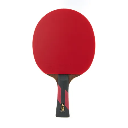 Ракетка для н/т DOUBLE FISH 7A+C, для професс.,ITTF Appr.,накл.2,1мм,+ 2 мяча V40+мм ITTF Appr за 3&nbsp;559.80 ₽ купить в Санкт-Петербурге