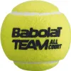 Мяч теннисный BABOLAT Team All Court,502081, уп.4 шт,одобр.ITF, сукно, нат.резина,желтый за 2&nbsp;385.10 ₽ купить в Санкт-Петербурге