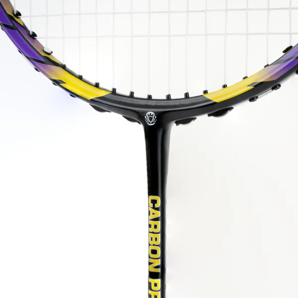 Ракетка бадм. TORRES Carbon PRO6, BD20521,для продв., стерж/обод из карбона,со струнами, фиол за 4&nbsp;477.80 ₽ в Санкт-Петербурге