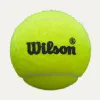 Мяч для падела Wilson Premier Padel Speed, WR8908501001, уп.3 шт, FIP Appr.,сукно, нат.резина,желтый за 1&nbsp;235.90 ₽ купить в Санкт-Петербурге