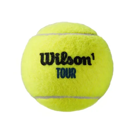 Мяч теннисный WILSON Tour Premier All Court, WRT119400, одобр.ITF, фетр, нат.резина,. уп.4 шт за 1&nbsp;676.20 ₽ купить в Санкт-Петербурге